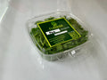 Pea Microgreens