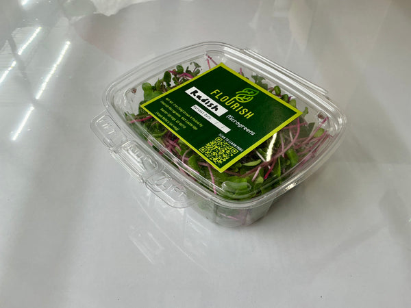 Radish Microgreens