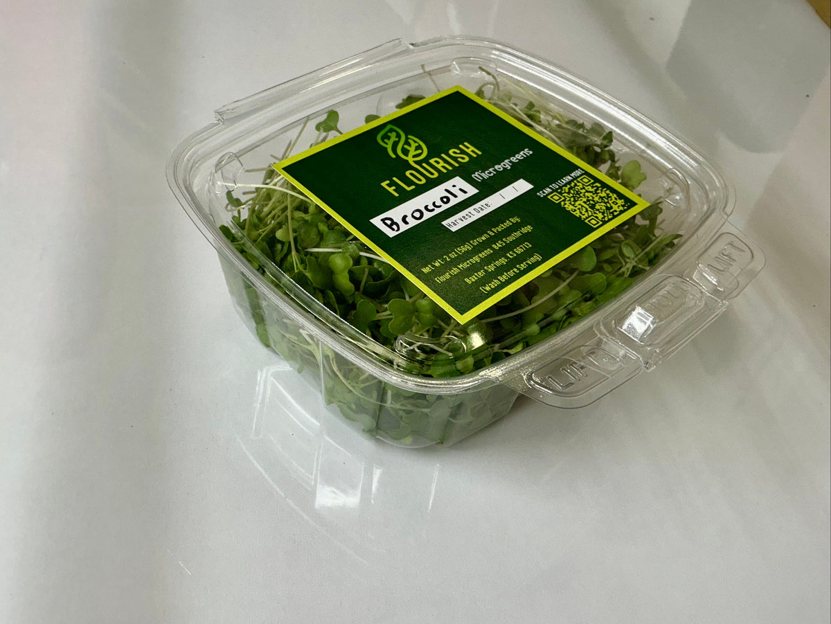 Broccoli Microgreens
